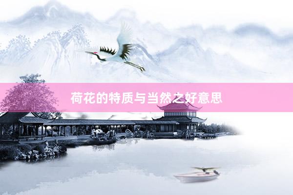 荷花的特质与当然之好意思