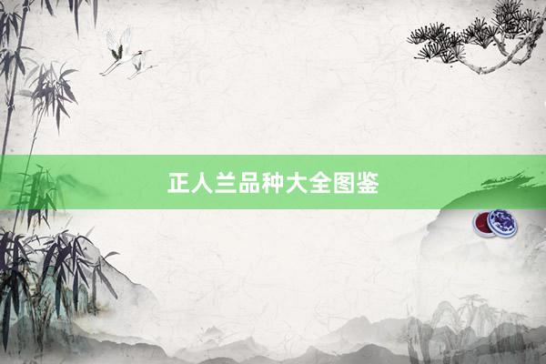 正人兰品种大全图鉴
