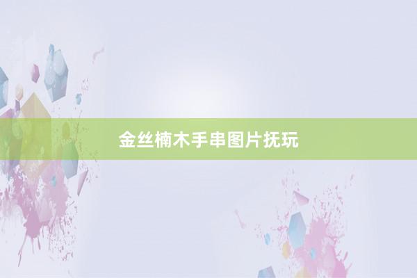 金丝楠木手串图片抚玩