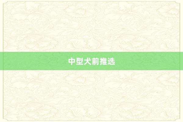 中型犬前推选
